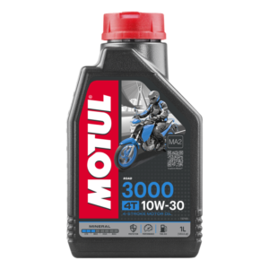 3000 4T PLUS10W30 (API SL)